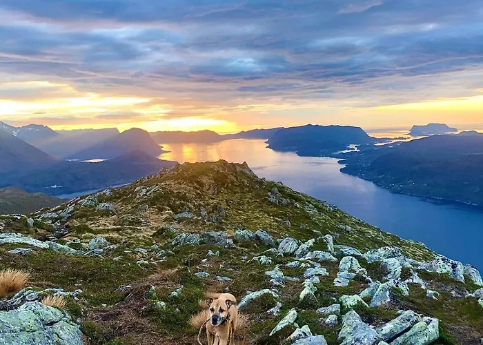 Spacious House With A Beautiful View For Rent Ferienhaus Ålesund