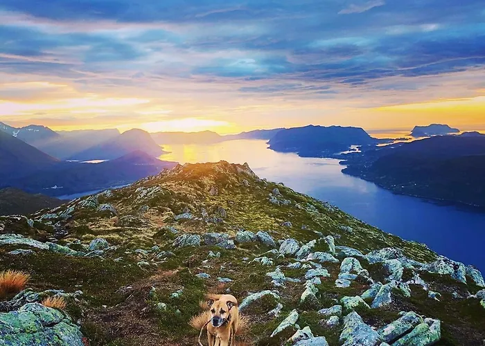 Spacious House With A Beautiful View For Rent * Ålesund