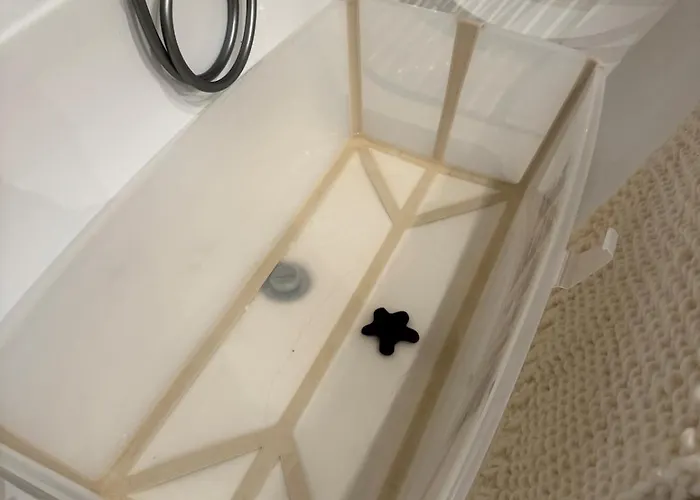 Spacious House With A Beautiful View For Rent